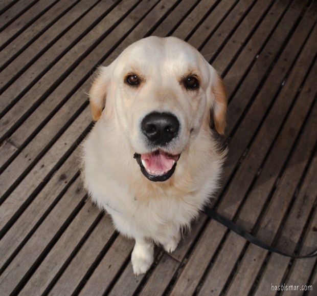 Megan-DSC_0573_edited