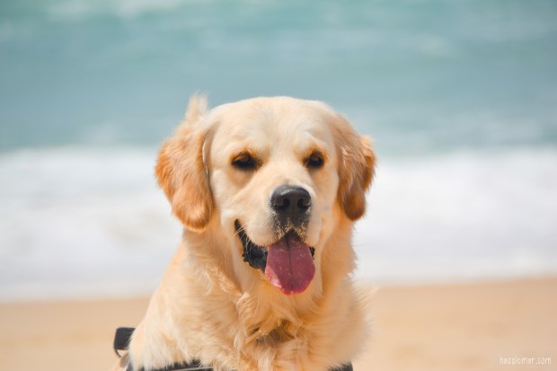 Megan-DSC_0680_edited-hsm