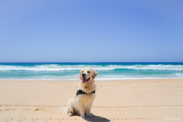 Megan-DSC_0682_edited-hsm