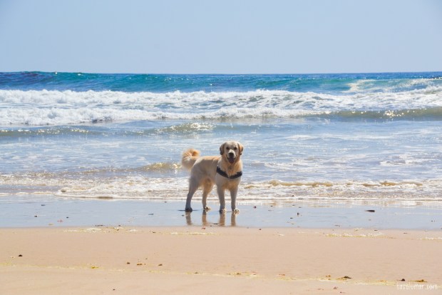 Megan-DSC_0699_edited-hsm