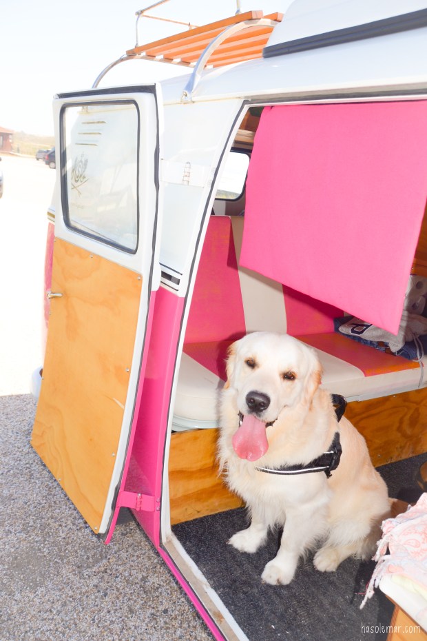 Megan-DSC_0703_edited-hsm