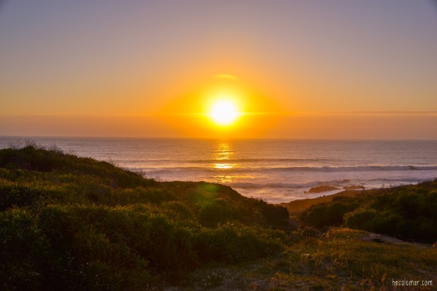 Megan-DSC_0723_edited-hsm