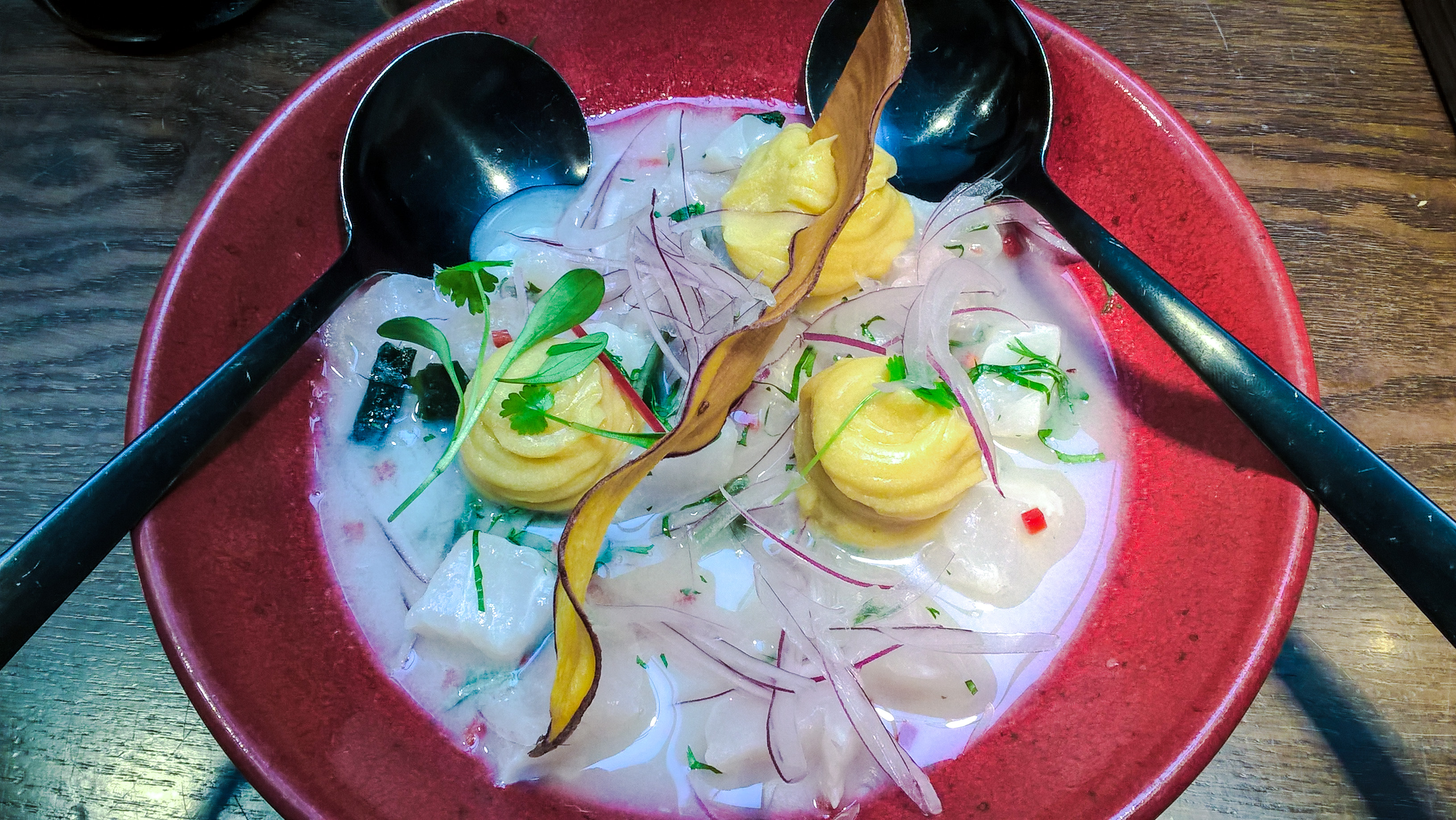 WP_20160213_13_27_00_Pro_otalho_edited