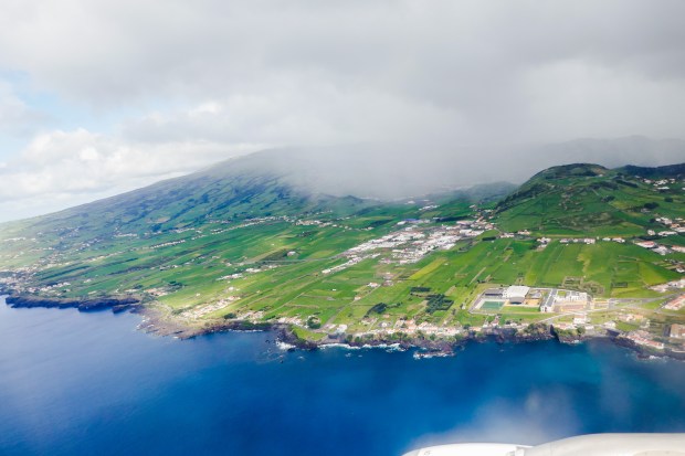 P1030367_edited-vistafaial