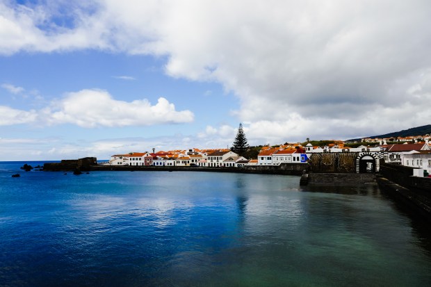 P1030391_edited-portopim