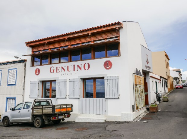 P1030392_edited-genuino1