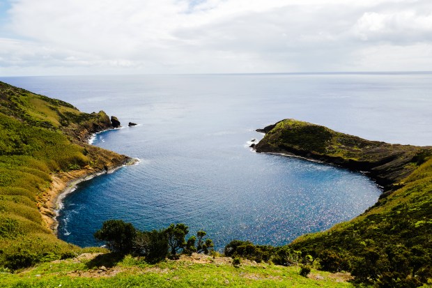 P1030405_edited-monteguia