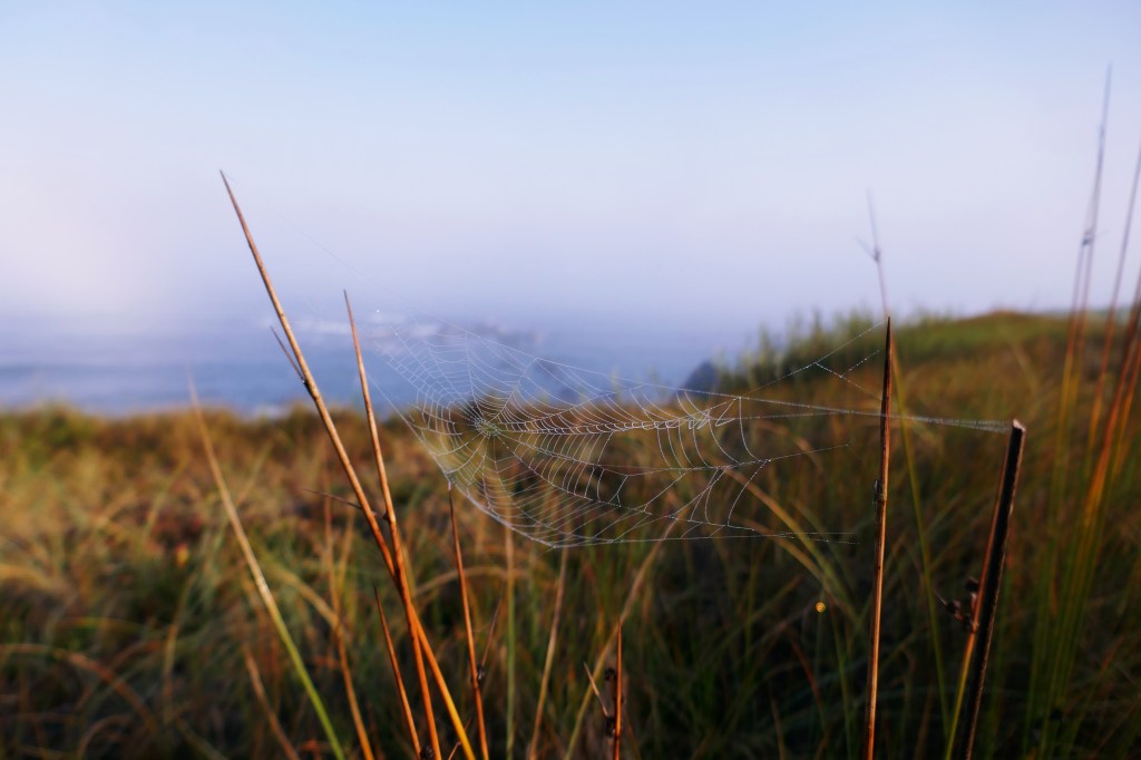 Trilho dos Pescadores, Rota Vicentina, Alentejo, Portugal
