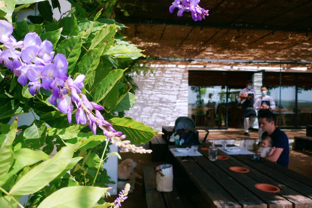 Esplanada da Herdade do Esporão, Alentejo, Portugal